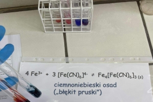 Uczniowie klas pierwszych o profilu biologiczno-chemicznym na zajęciach w Instytucie Chemii UŚ - zdjęcie11