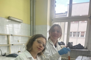 Uczniowie klas trzecich o profilu biologiczno-chemicznym na zajęciach w Instytucie Chemii UŚ - zdjęcie10
