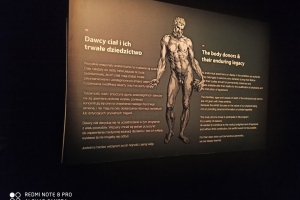 Klasy 3c i 4c na warsztatach kryminalistycznych w WSFiP oraz wystawie anatomicznej Body Worlds - zdjęcie10