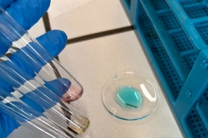 Klasa 2c i 2g na warsztatach chemicznych UŚ w Katowicach - zdjęcie8