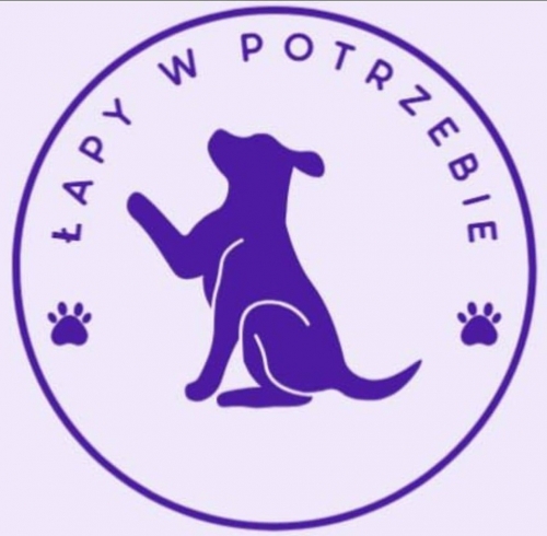 Projekt naszych absolwentów