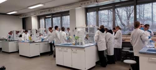 Drugie warsztaty z chemii na UŚ w Chorzowie w ramach projektu