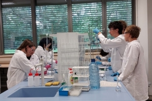 Warsztaty z chemii na UŚ w Chorzowie - klasa 3c i 3g - zdjęcie4