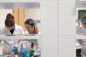 Warsztaty z chemii na UŚ w Chorzowie - klasa 3c i 3g - zdjęcie24