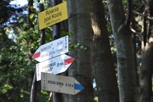 XL SPOTKANIE MIŁOŚNIKÓW GÓR – STEFANKA’2025 40 ROK DZIAŁALNOŚCI  KOŁA TURYSTYKI  GÓRSKIEJ  I  KRAJOZ - zdjęcie15