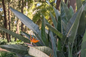 Szkolna wycieczka do Andaluzji - zdjęcie16