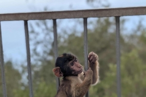 Szkolna wycieczka do Andaluzji - zdjęcie20