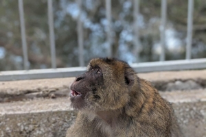 Szkolna wycieczka do Andaluzji - zdjęcie15