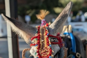 Szkolna wycieczka do Andaluzji - zdjęcie17