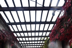 Wspomnienia z XXVIII WYPRAWY MARZEŃ GEOGRAFÓW - „Szlakami Najpiękniejszych Miejsc – POLSKA’2025” - zdjęcie1