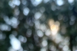 Wyniki III Międzynarodowego Konkursu Plastycznego „Na Szczycie” im. Mietka Krzaka - zdjęcie7