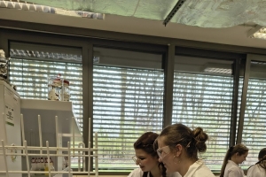 Warsztaty z chemii na UŚ w Chorzowie - klasa 3c i 3g - zdjęcie7