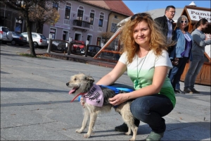 I Zbiórka Publiczna na rzecz zwierzaków, 27.10.2013 - zdjęcie14