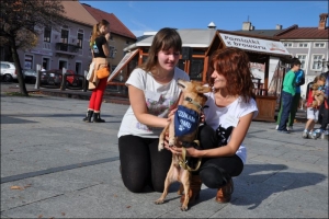 I Zbiórka Publiczna na rzecz zwierzaków, 27.10.2013 - zdjęcie4