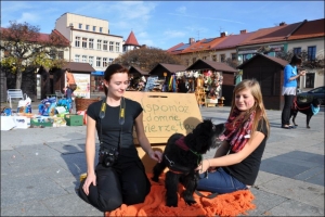 I Zbiórka Publiczna na rzecz zwierzaków, 27.10.2013 - zdjęcie9