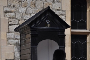 Wyjazd edukacyjny do Londynu 2014 - zdjęcie25