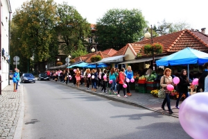 Dzień Różowej Wstążki, 3.10.2014 - zdjęcie18