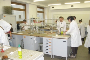 Zajęcia laboratoryjne z chemii w Katowicach, 17.10.2014 - zdjęcie16