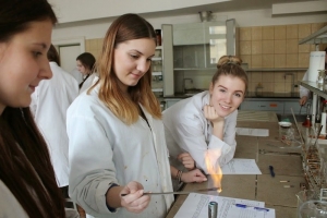 Zajęcia z biologii i chemii, klasa 2a, Katowice, 28.11.2014 - zdjęcie7